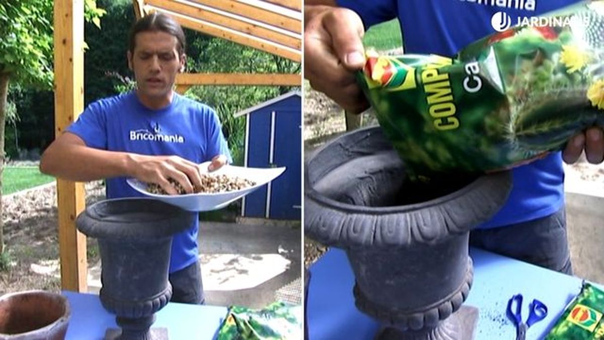 drenaje sustrato planta siempreviva brico 651