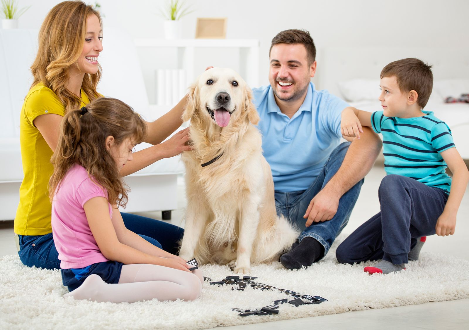 consejos preparar llegada perro acuerdo consejos preparar llegada perro acuerdo