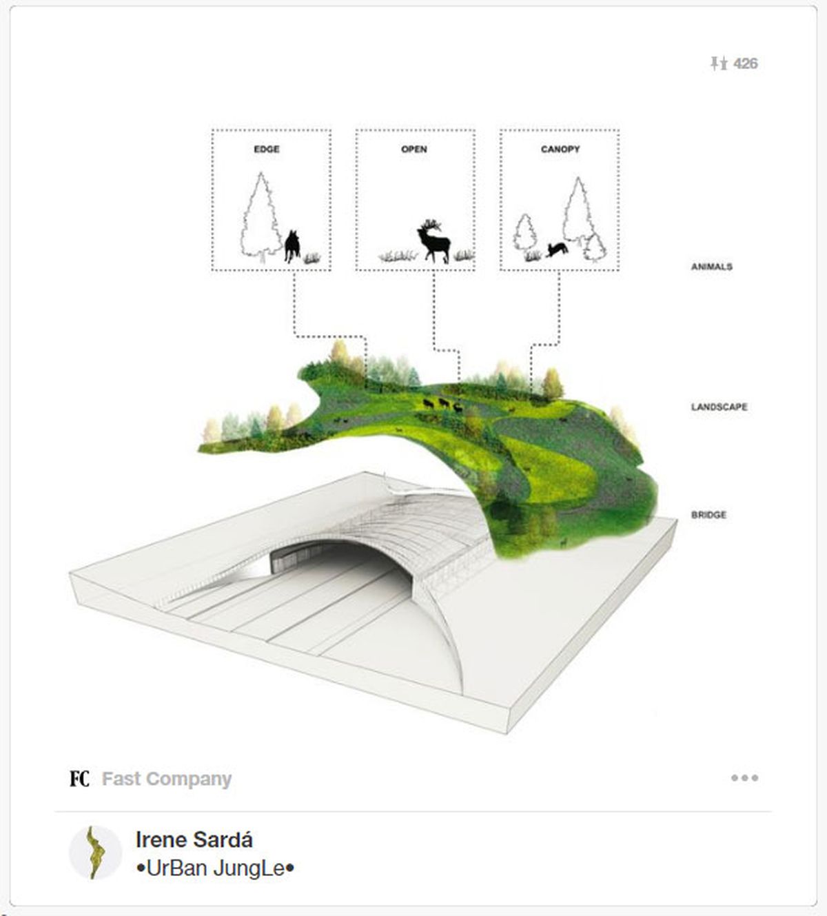ecoductos pasos verdes animales 1