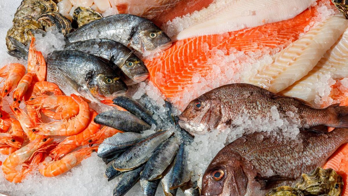 La correcta refrigeración es clave para consumir pescado y marisco