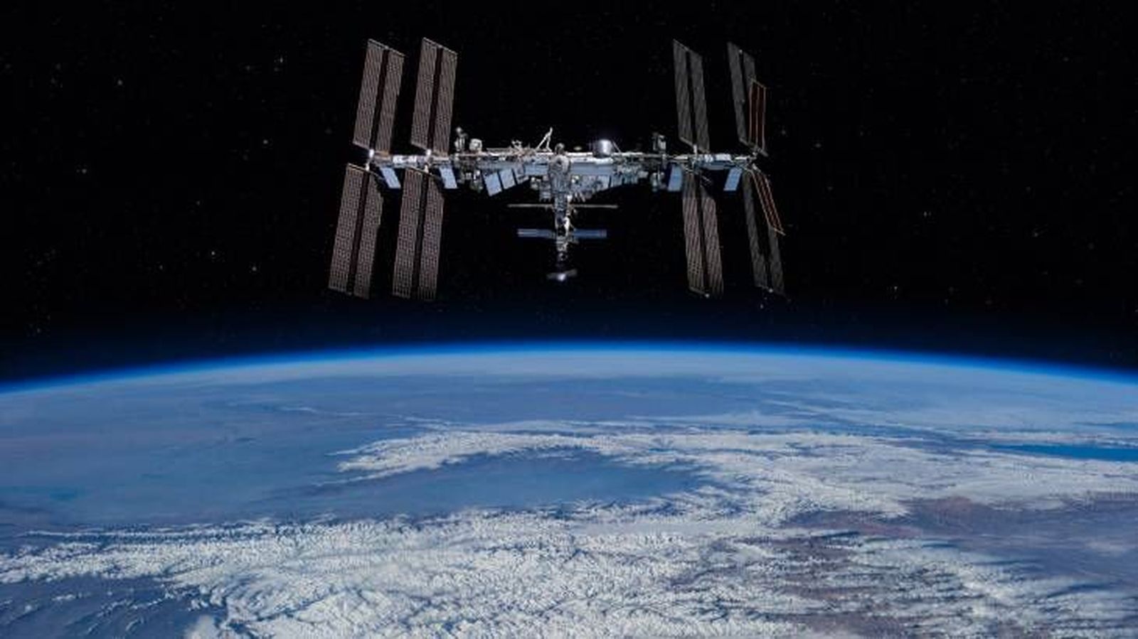animales espacio estacion espacial animales espacio estacion espacial