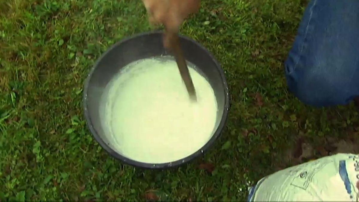 brico 619 encalar troncos con cal apagada