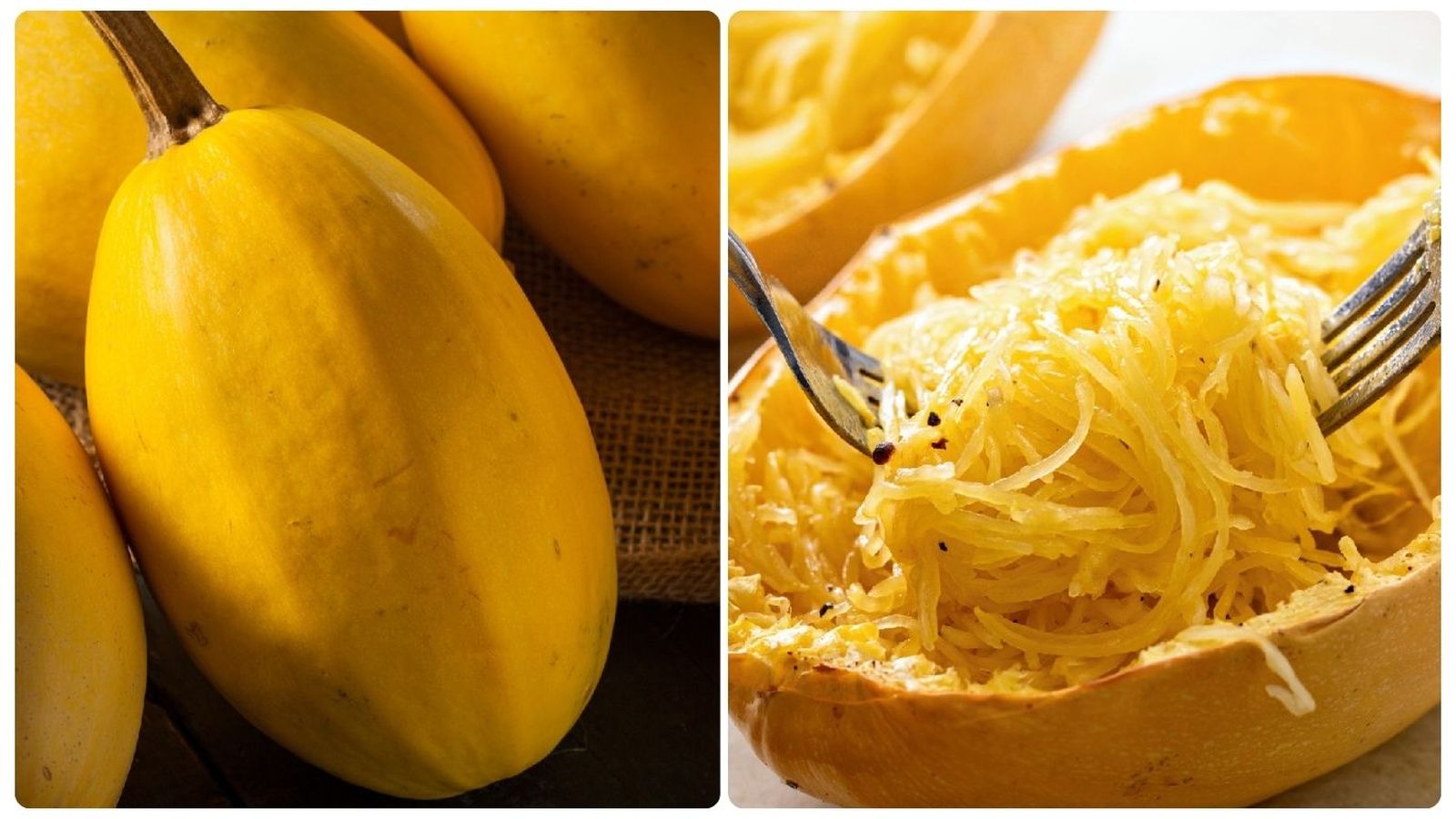 La pulpa de la calabaza espagueti se deshace en hebras finas que recuerdan a la pasta
