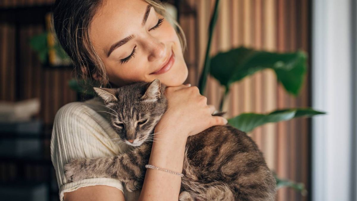 Paso a paso: Introducir a un gato en casa.