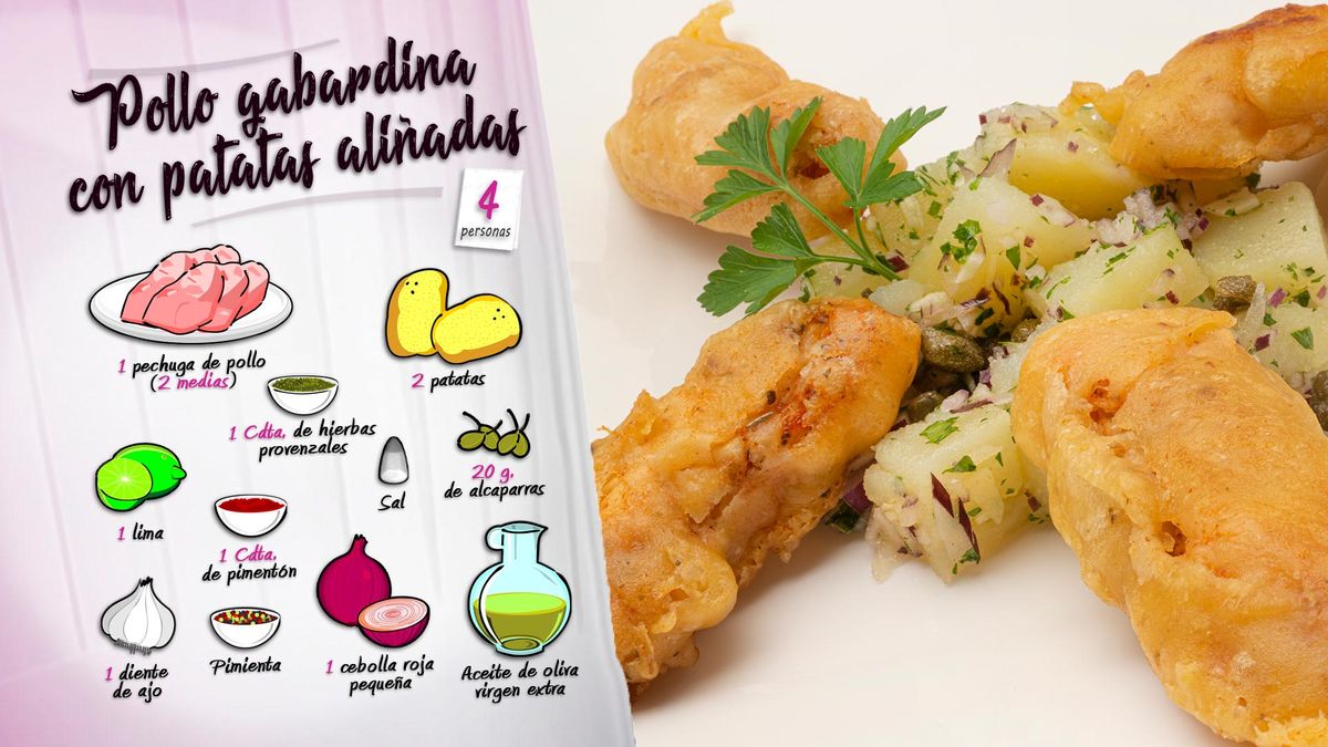 karl6616 pollo gabardina ing1