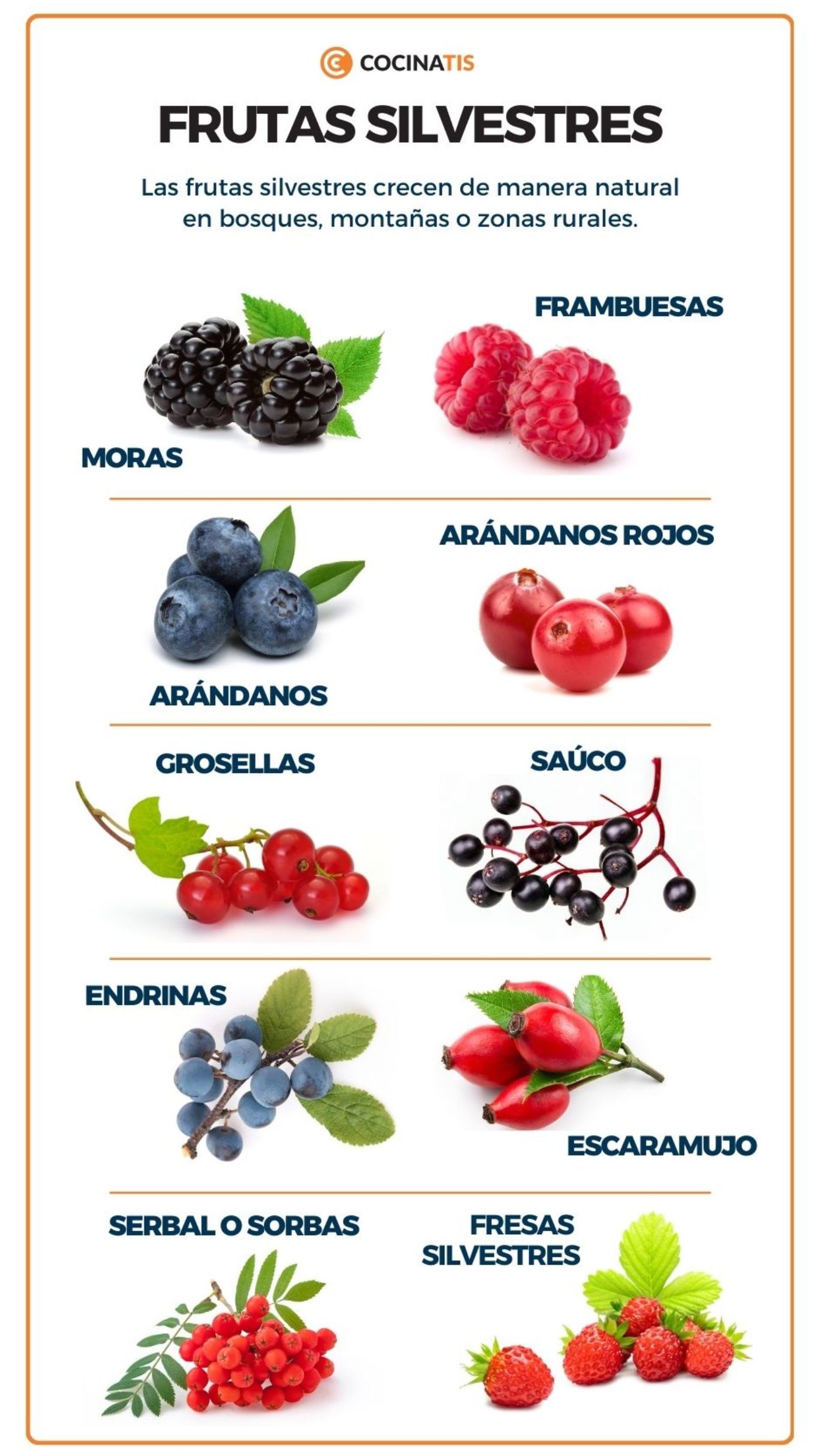 Frutas silvestres Frutas silvestres