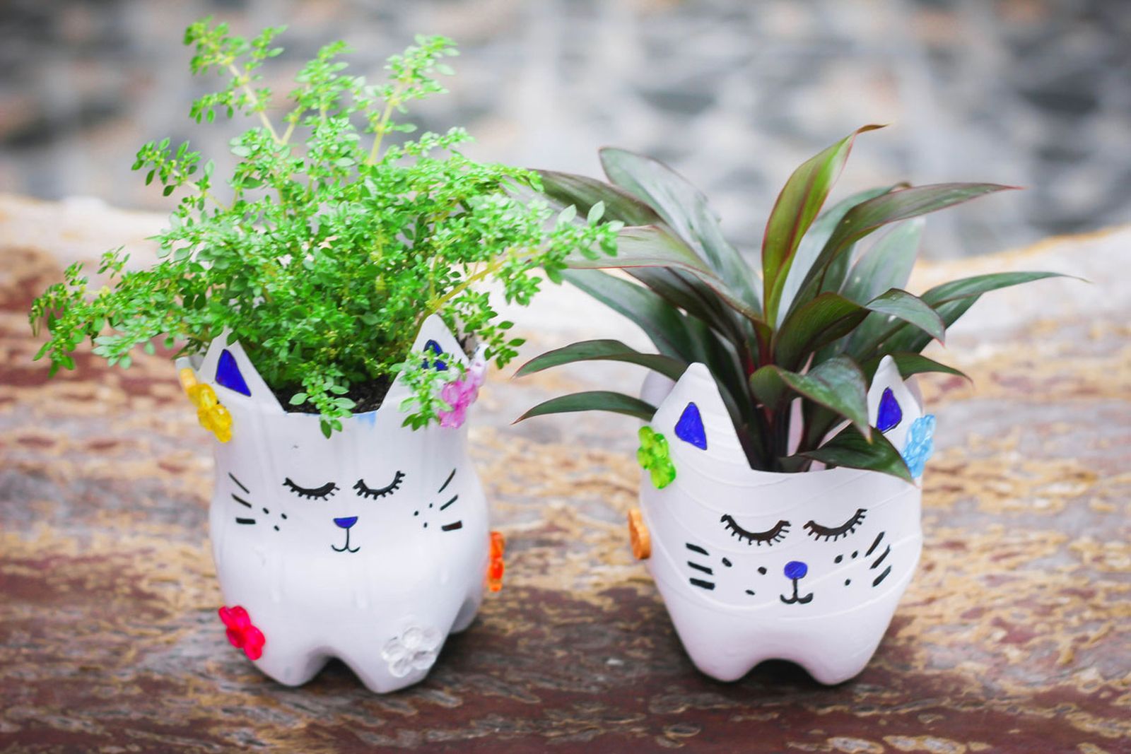 tiestos gatitos diy paso 4 tiestos gatitos diy paso 4