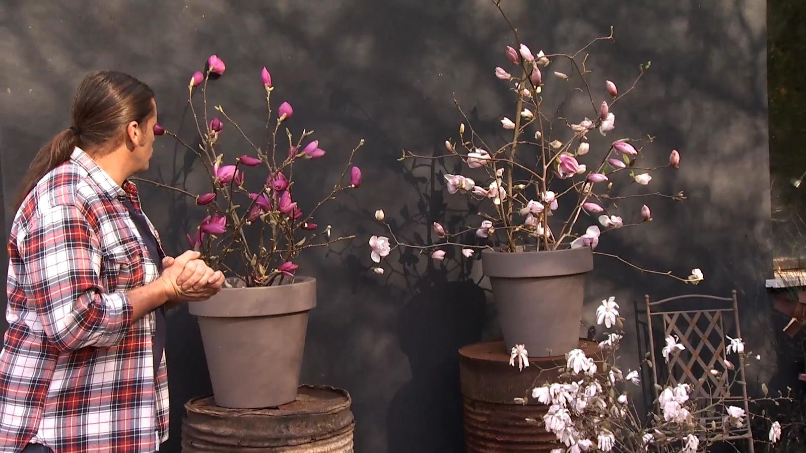 deco 726 jardin magnolios flor composicion