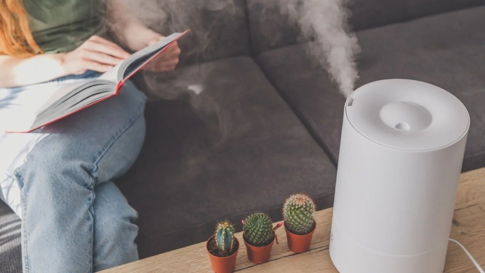 Invierte en ambientador-humidificador. Invierte en ambientador-humidificador.
