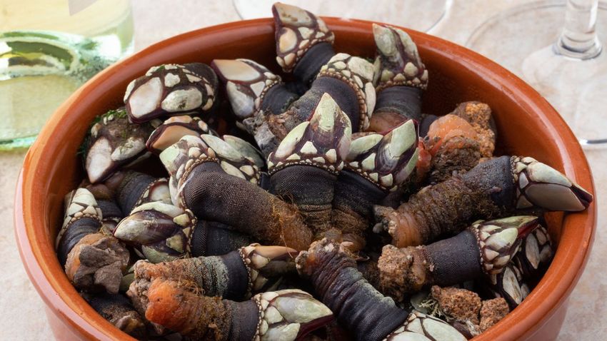 Cómo cocer percebes