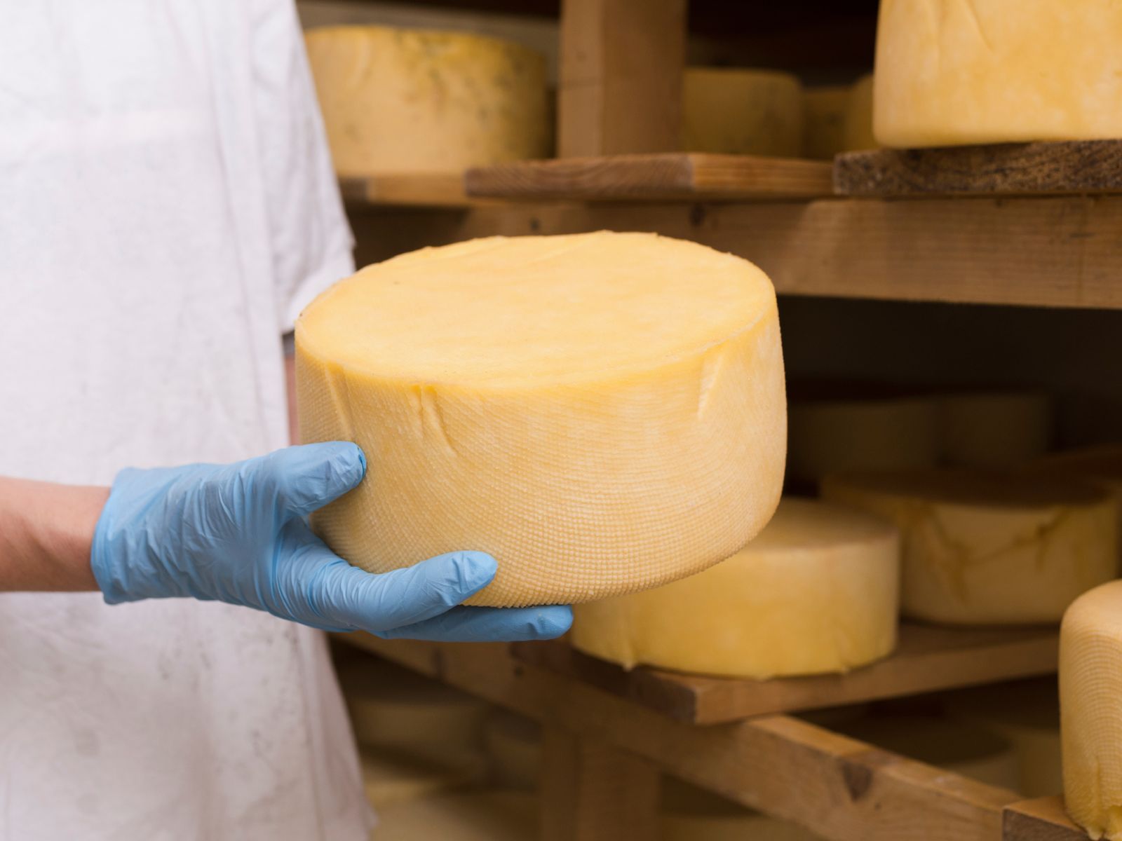 Control de maduración en bodega: cada queso desarrolla sabor y textura únicos con el paso del tiempo. Control de maduración en bodega: cada queso desarrolla sabor y textura únicos con el paso del tiempo.