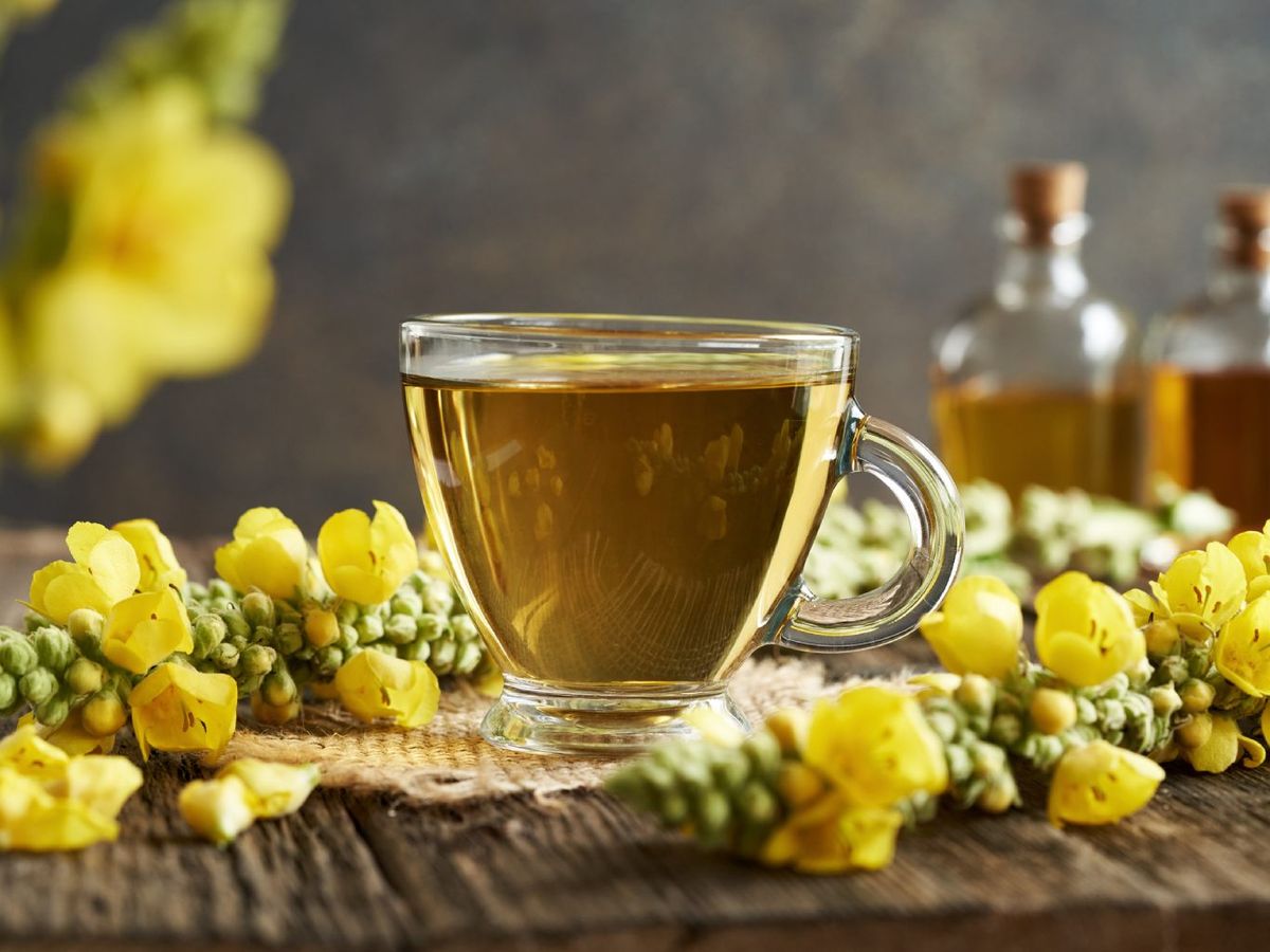 Té de hierbas con gordolobo.