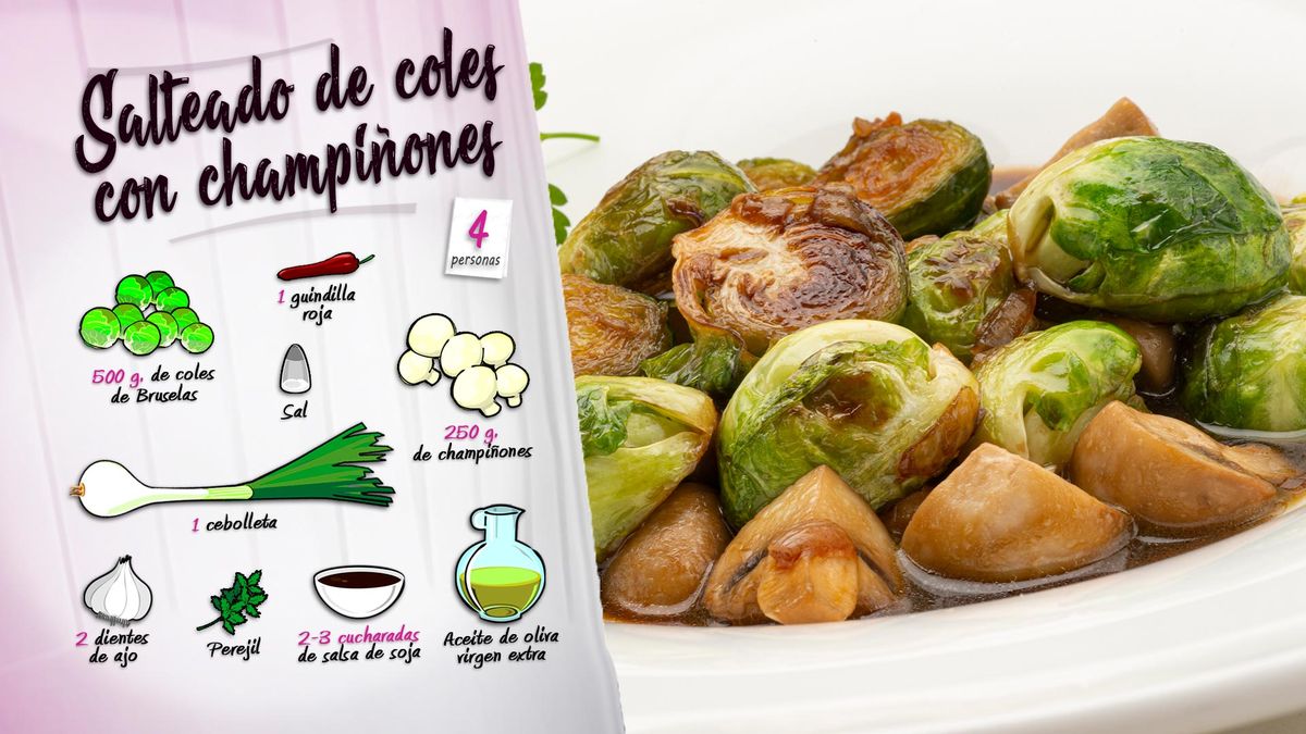 karl6656 salteado coles ing