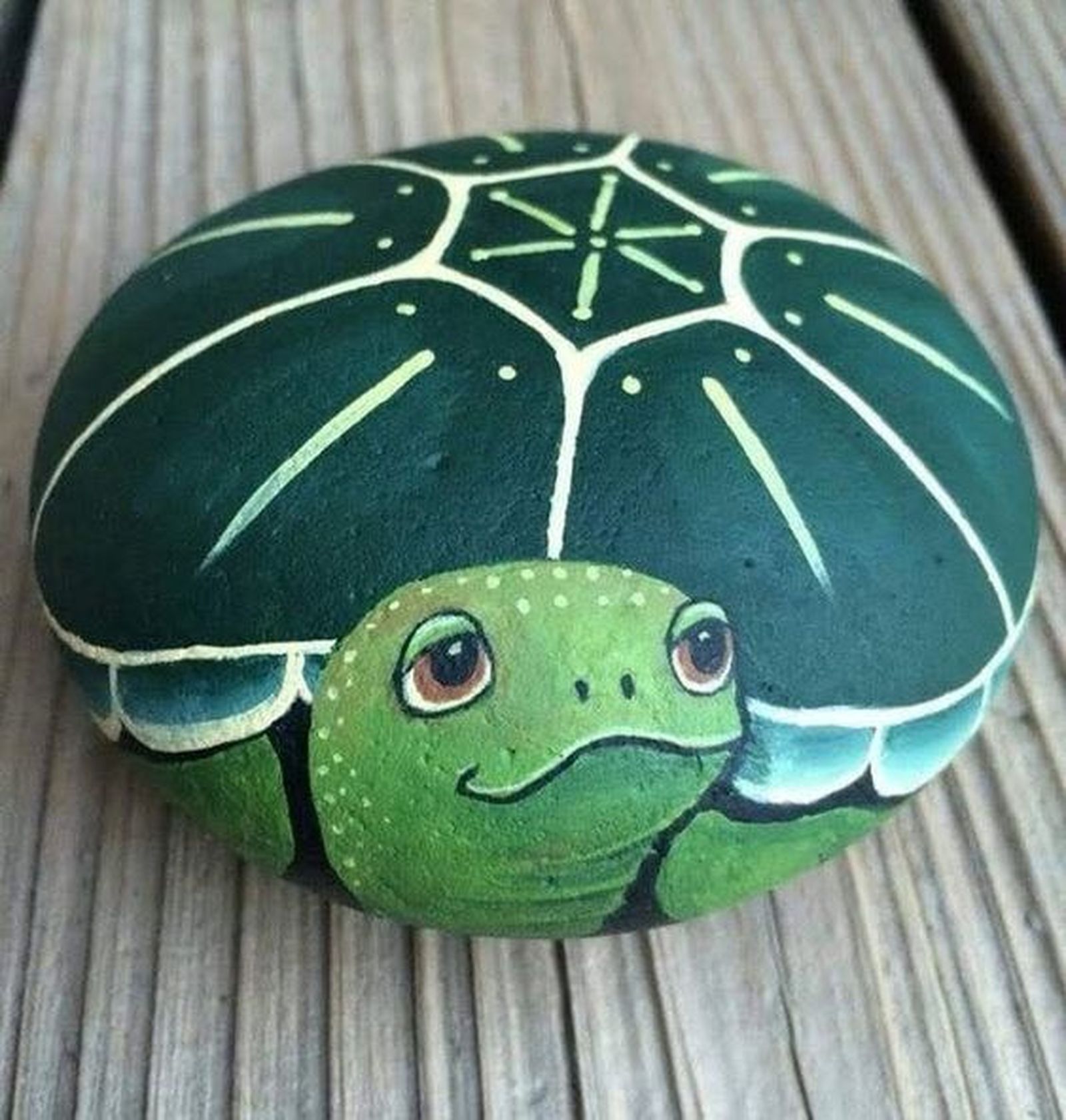 piedras pintadas jardin tortuga pinterest piedras pintadas jardin tortuga pinterest