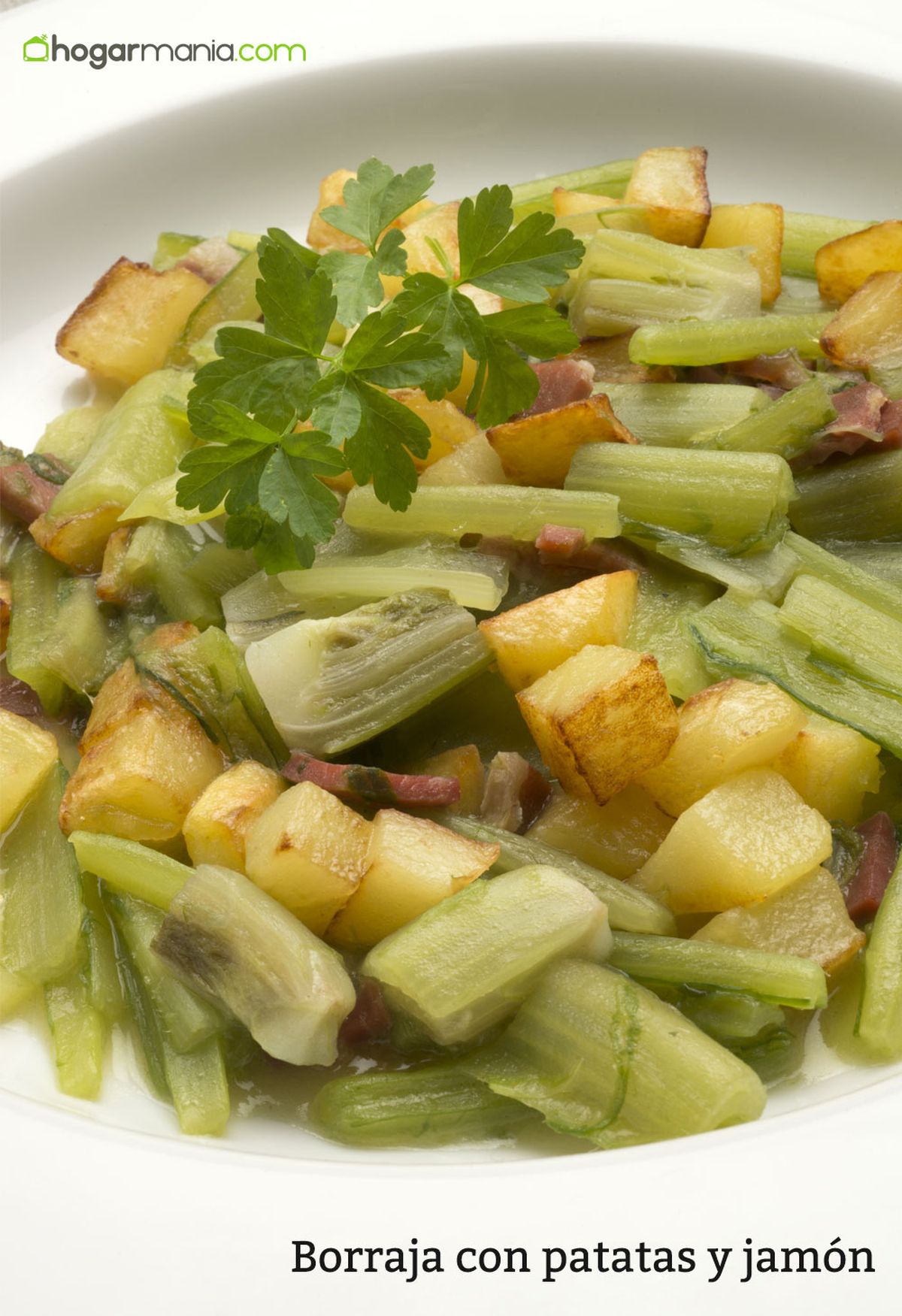 6097 1 Borraja con patatas y jamon vertical xl