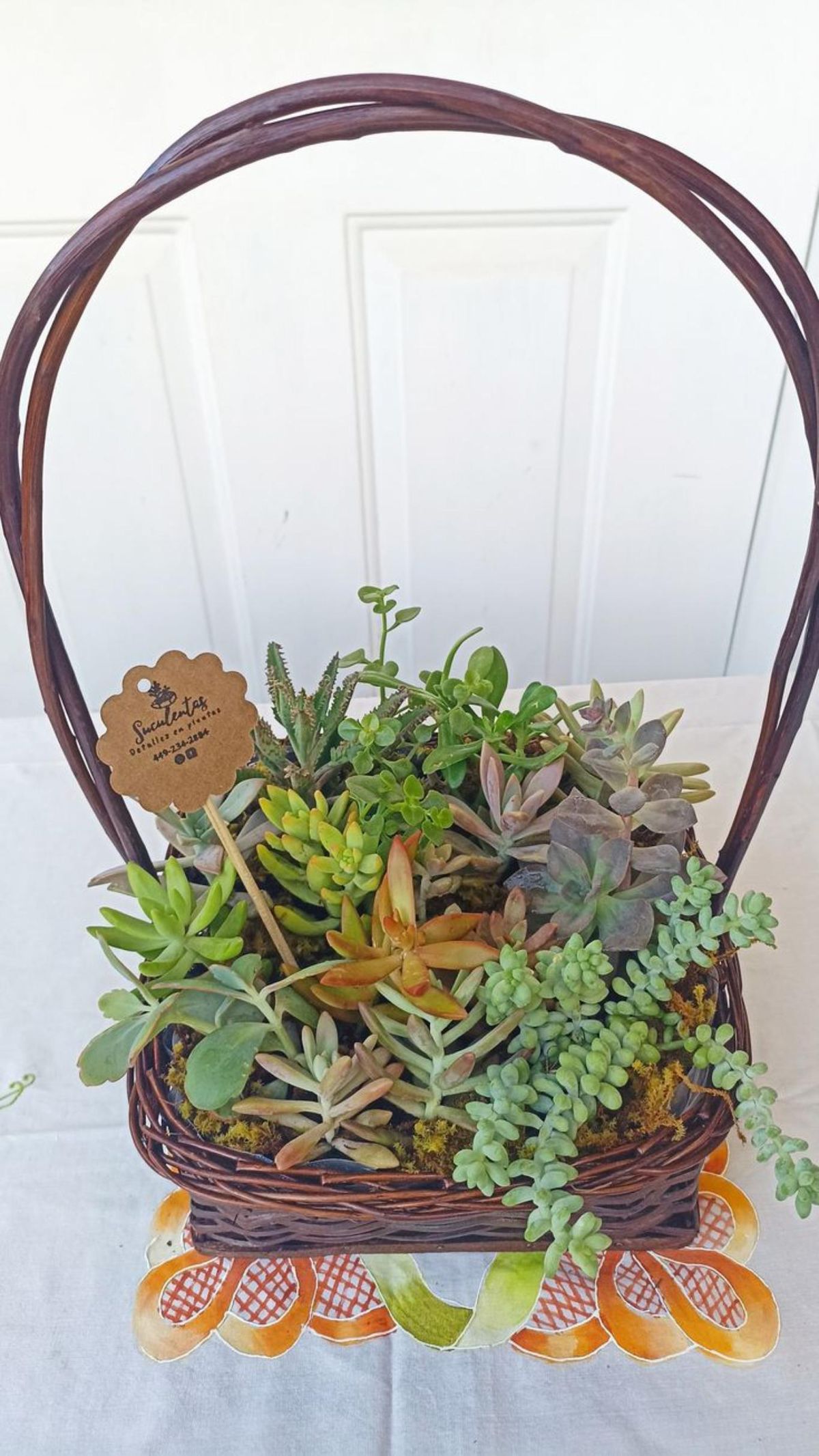 Composición de suculentas en una cesta de mimbre tradicional.