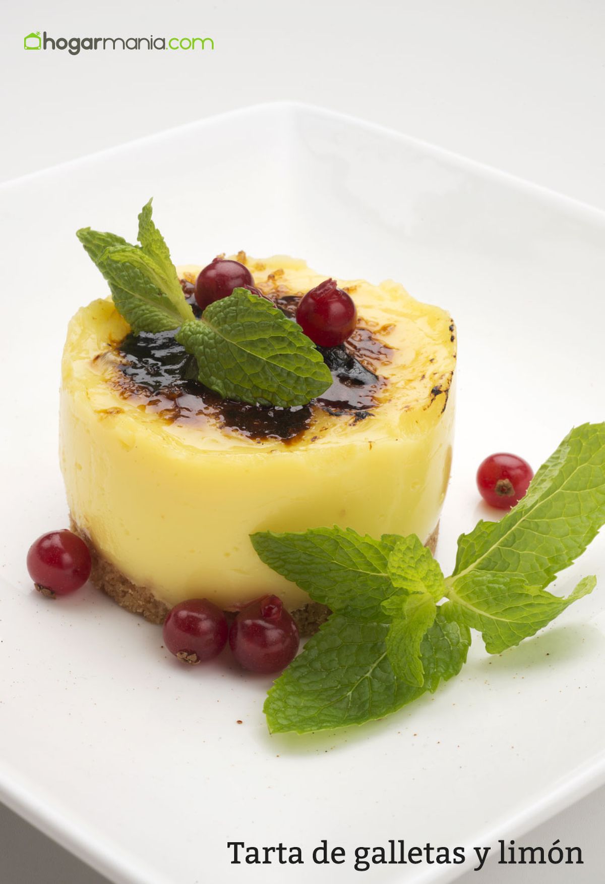 6069 2 Tarta de galletas y limon vertical xl