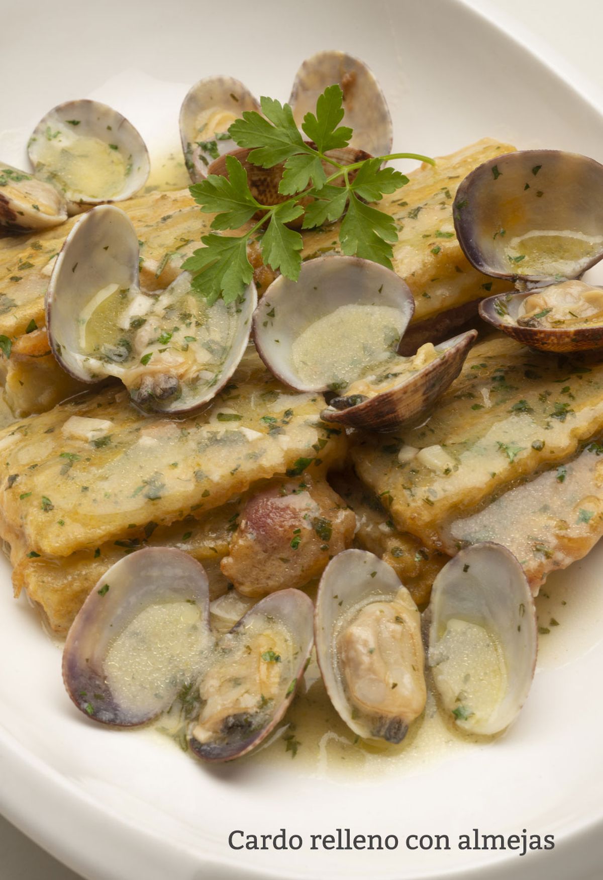 cardo relleno vertical