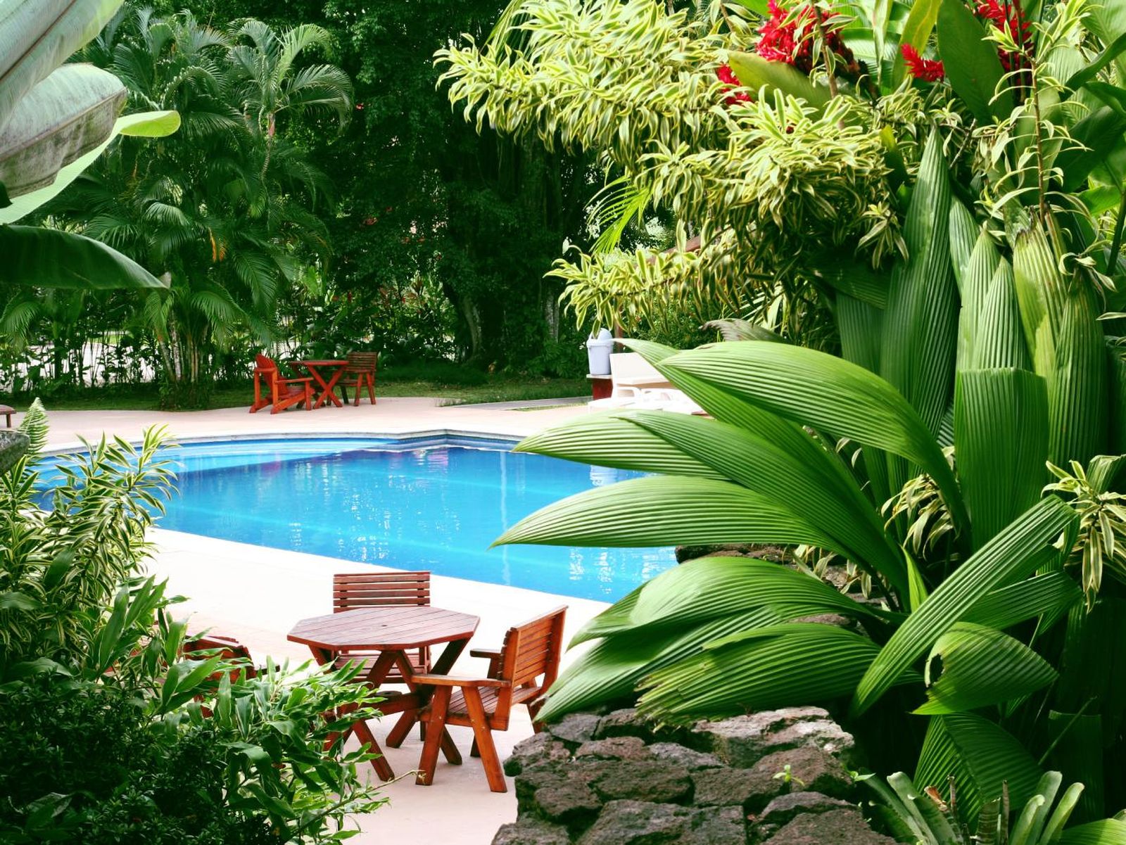 Jardín sin césped de estilo tropical.