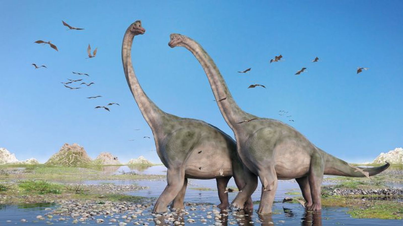 como eran los dinosaurios 14 como eran los dinosaurios 14