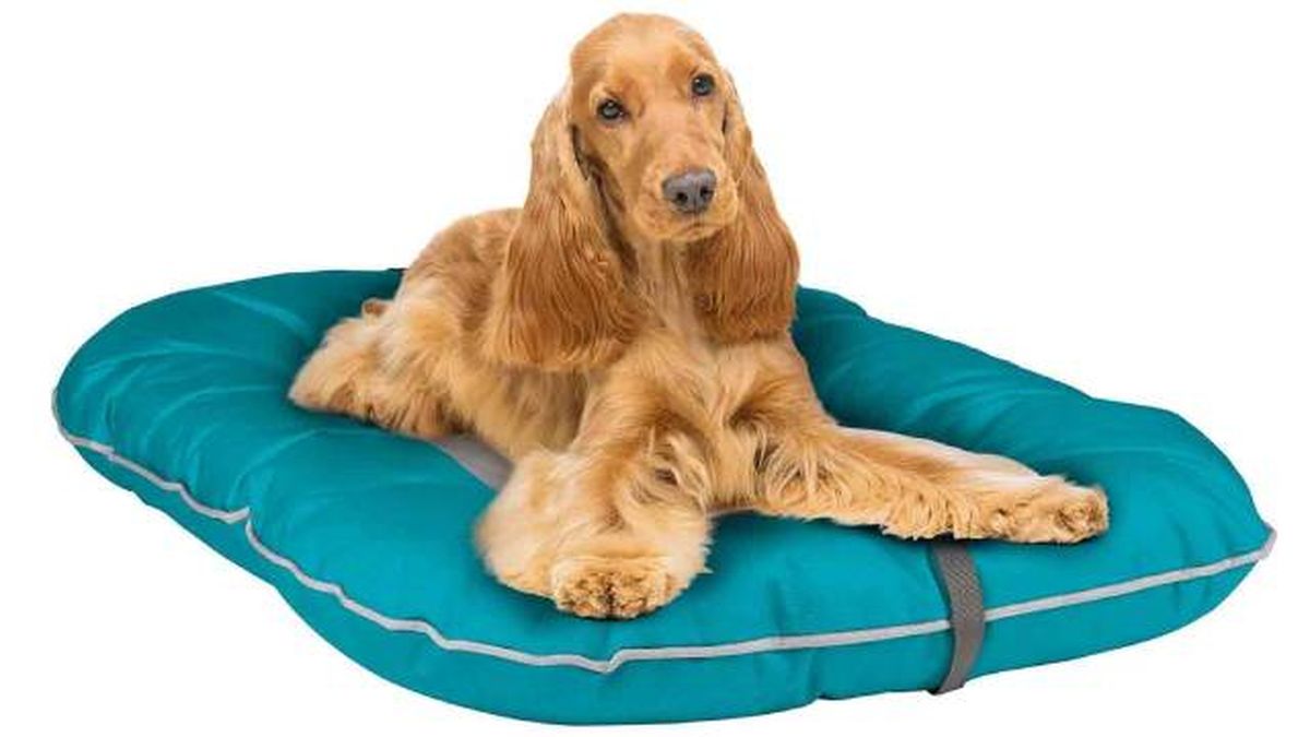 cama de perro para exteriores impermeable modelo2 lidl mascotas
