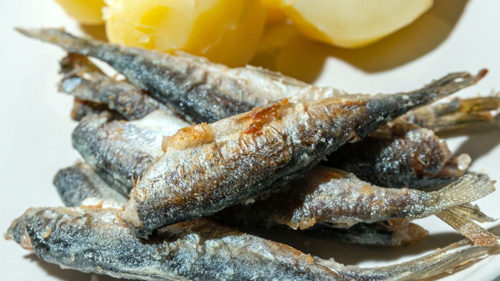 Sardinas fritas