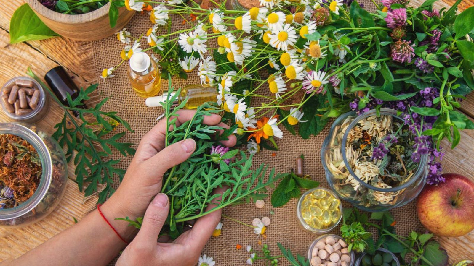 Tener plantas medicinales en casa te brinda remedios naturales siempre a tu alcance.