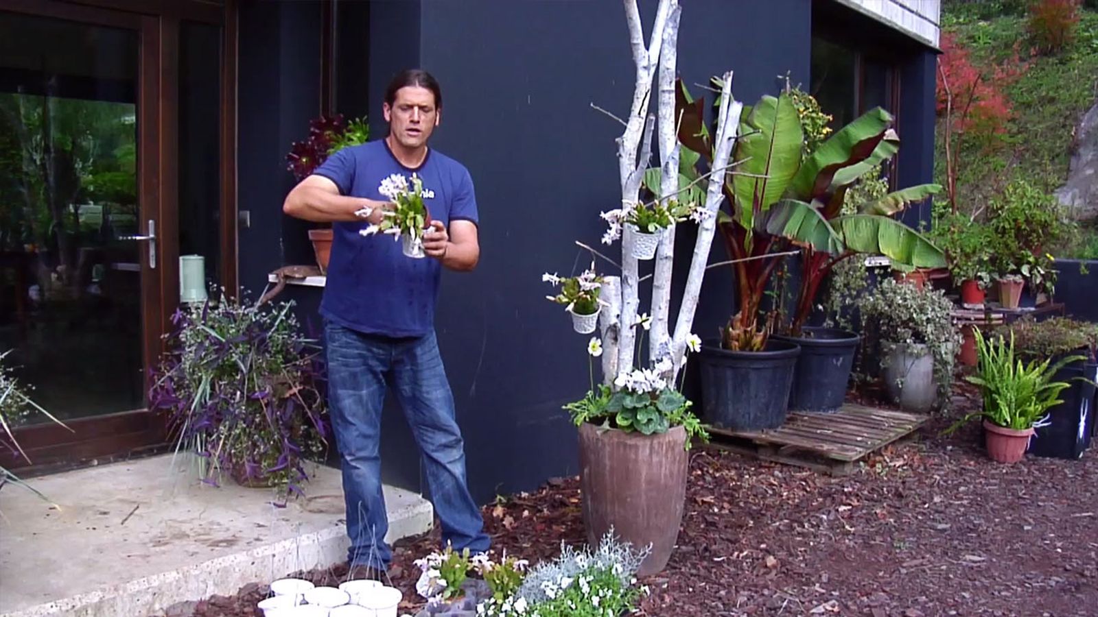 BRICO_JARDIN_851_Arbol navideño con troncos de abedul plantas blancas