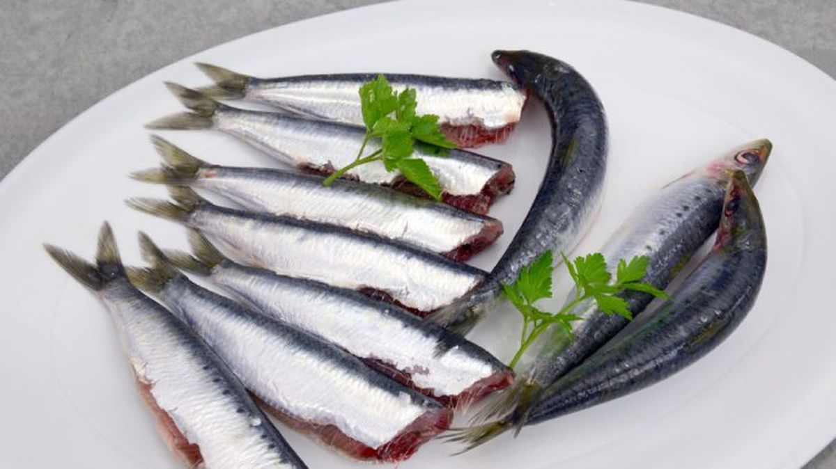 sardinas ahumadas limpiar
