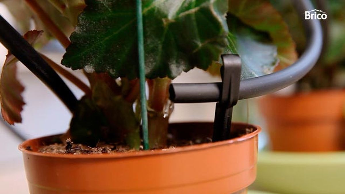 Kit de riego para macetas paso 12