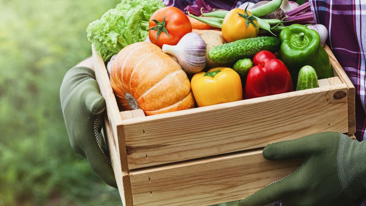 Olvidar cosechar tus plantas a tiempo