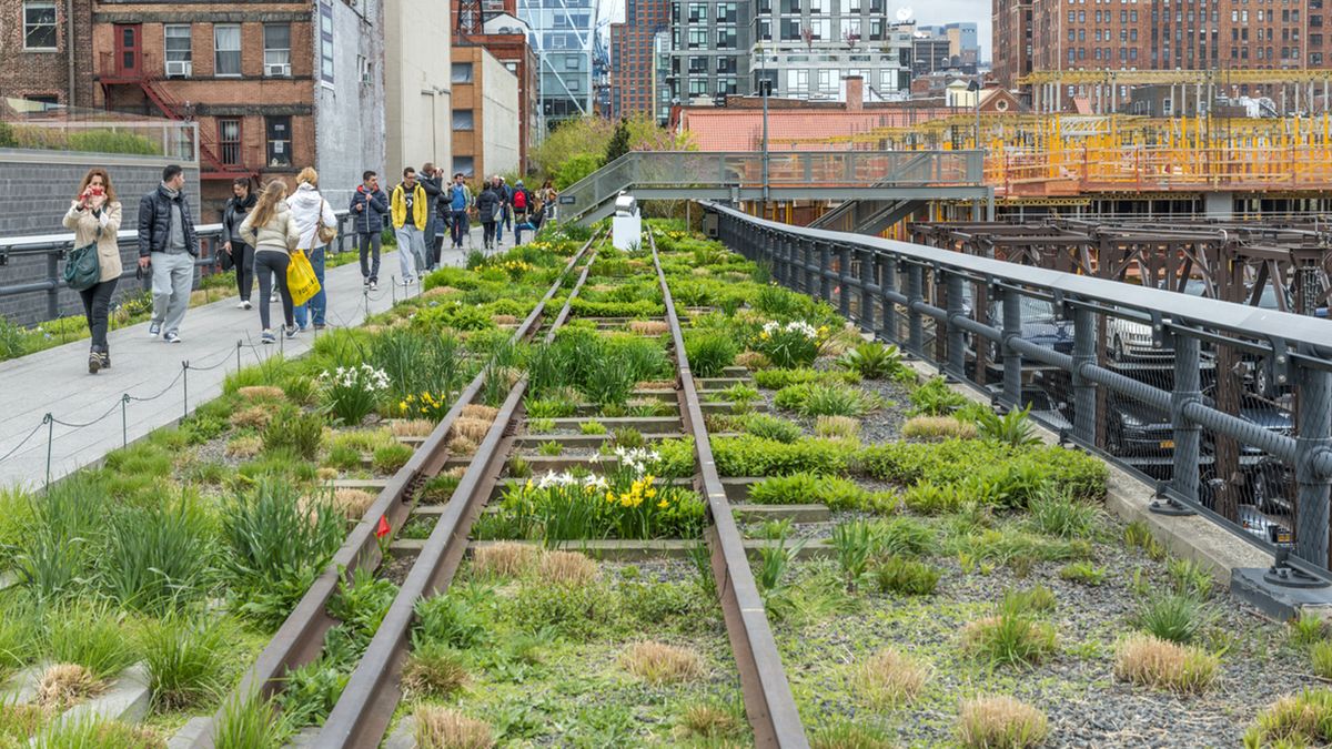 tendencias paisajismo piet oudolf High Line new york