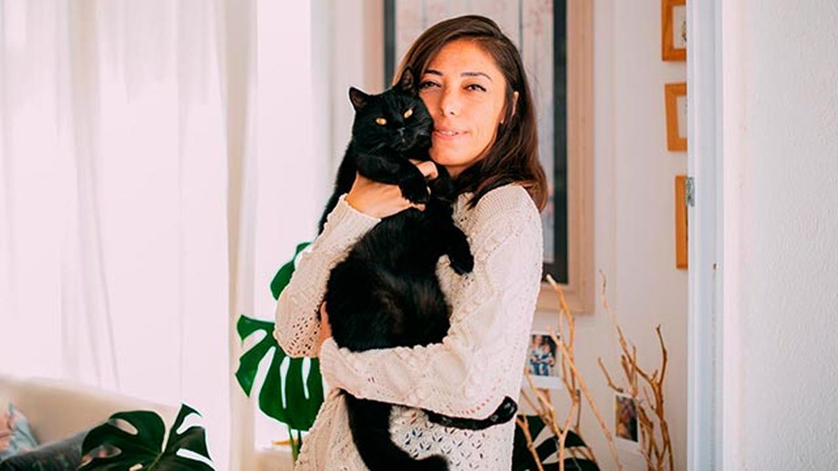 adopcion gatos negros octubre 3