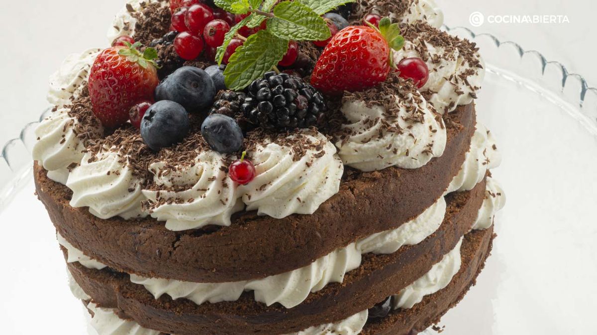 karl6811 tarta selva xl