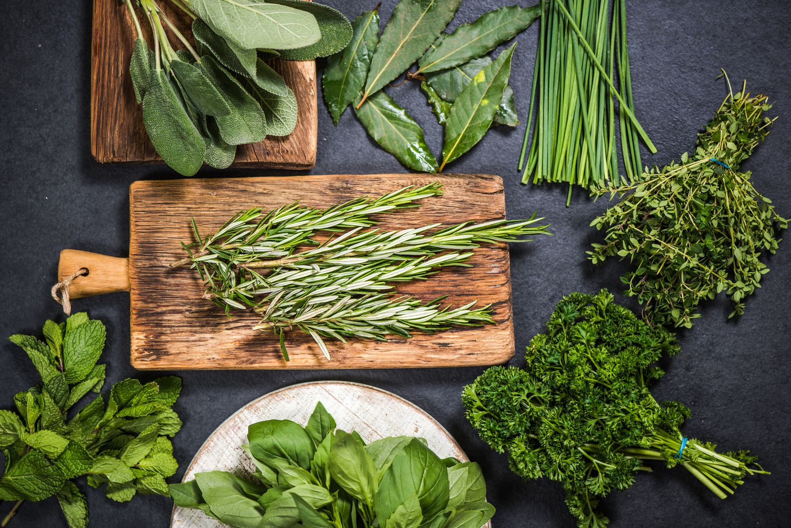 Descubre cómo guardar cada tipo de hierba aromática para que se conserve fresca por más tiempo