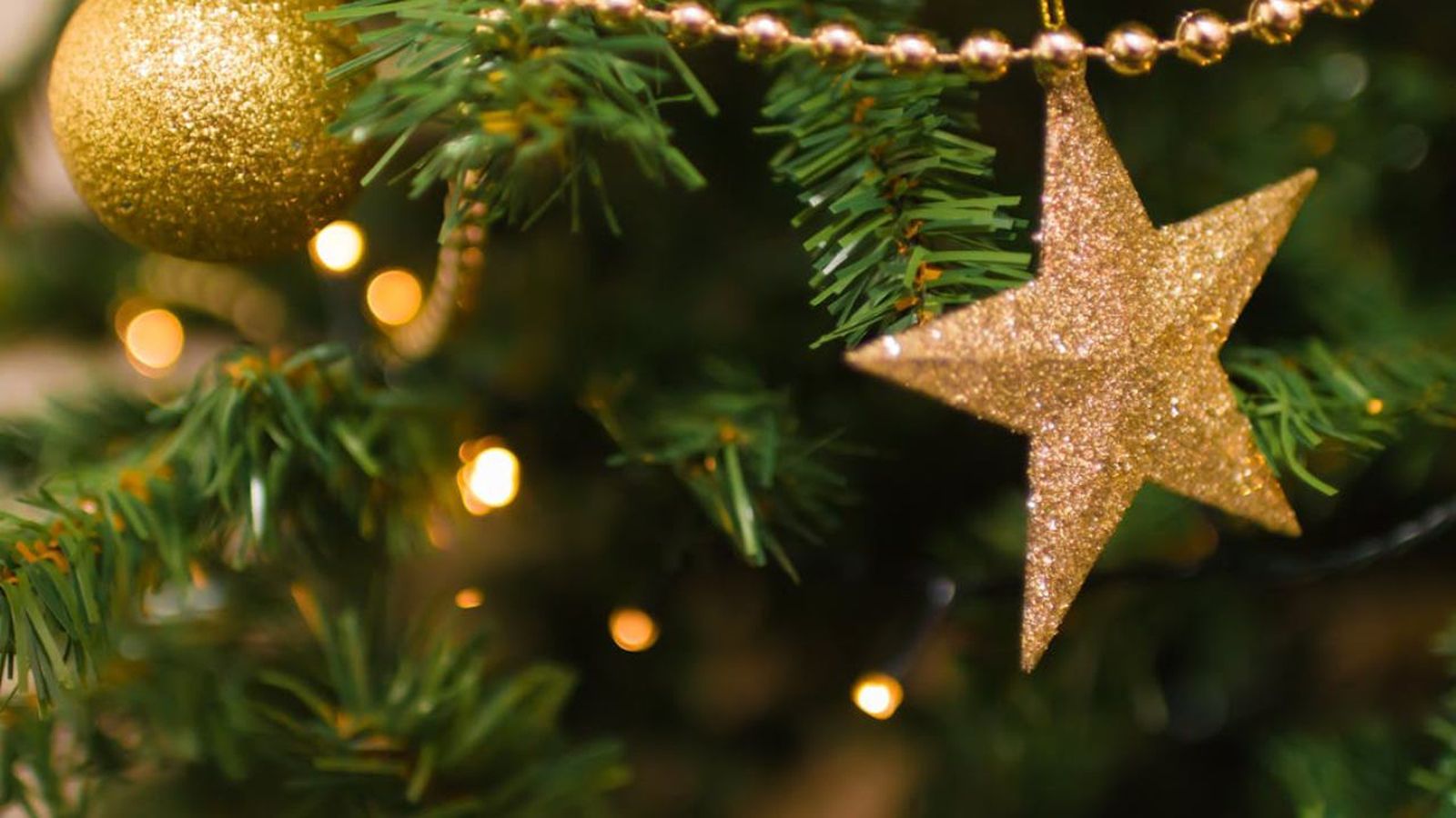 Descubre cómo brillará este año Cartes.