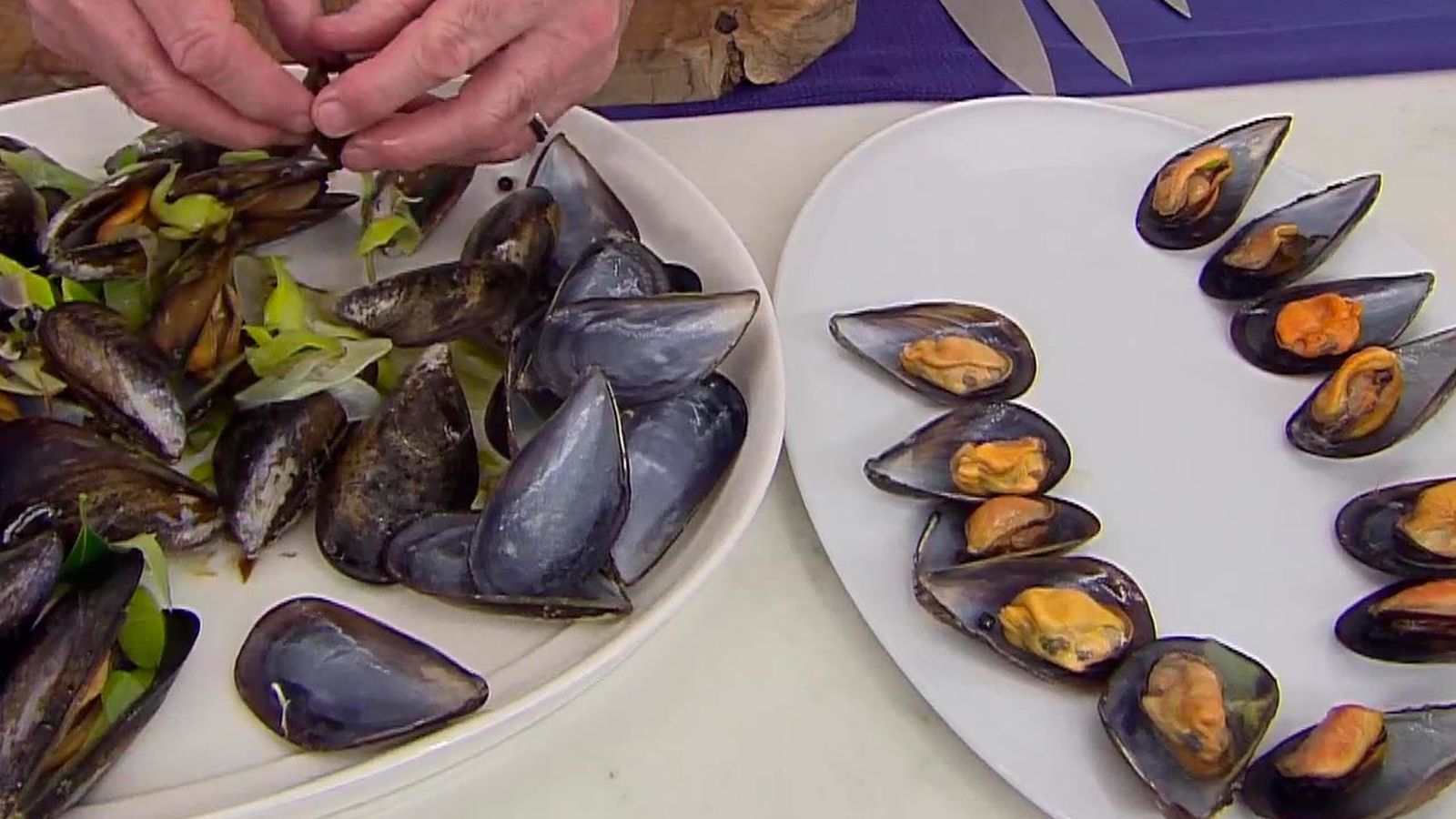 karl6700 mejillones vermut p3 karl6700 mejillones vermut p3