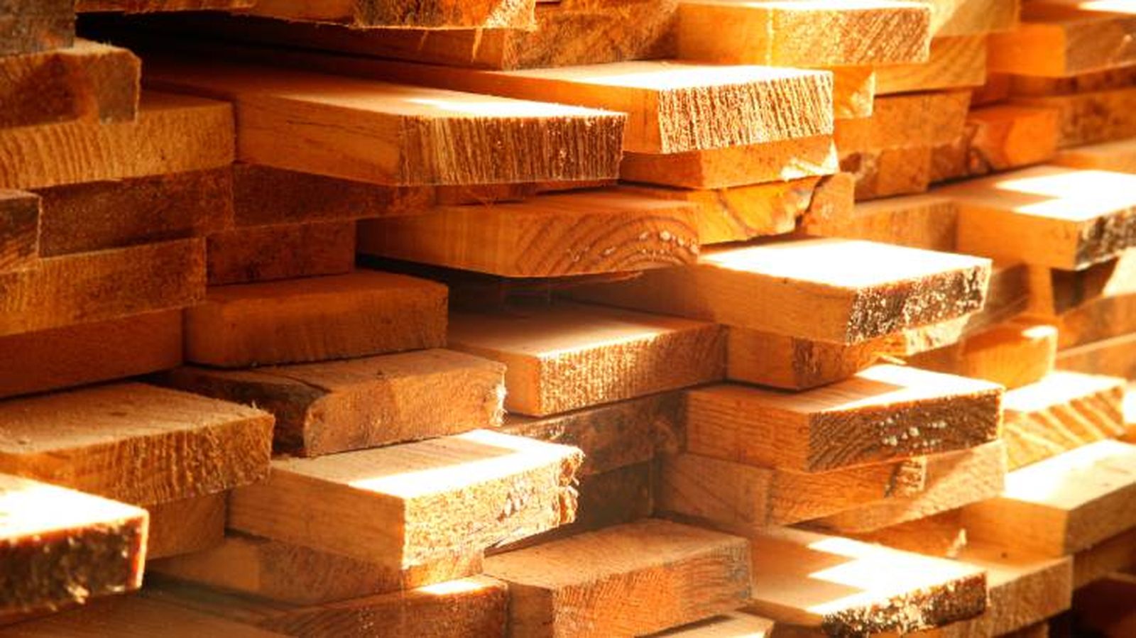 derivados de la madera 2 derivados de la madera 2