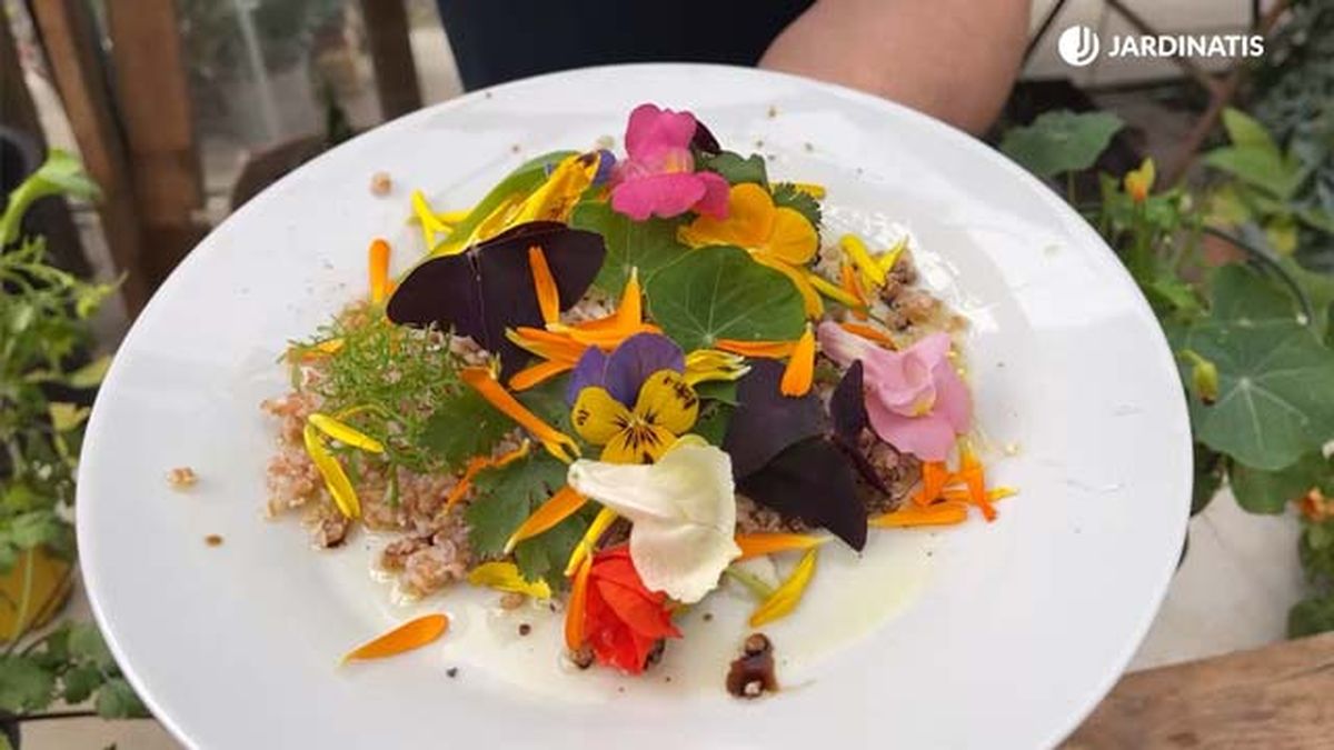 ensalada de flores comestibles de inigo segurola jardinatis