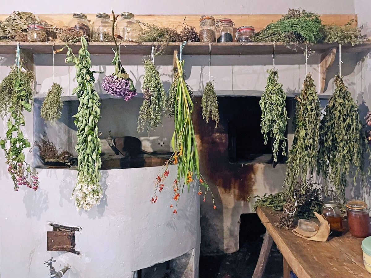 Hirbas aromáticas en cocina rural
