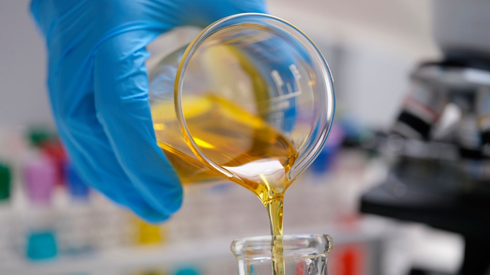 España permitirá producir nuevos aceites vegetales con un cambio en la normativa tras 40 años España permitirá producir nuevos aceites vegetales con un cambio en la normativa tras 40 años