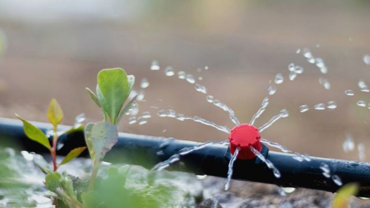 tuberia de riego por goteo