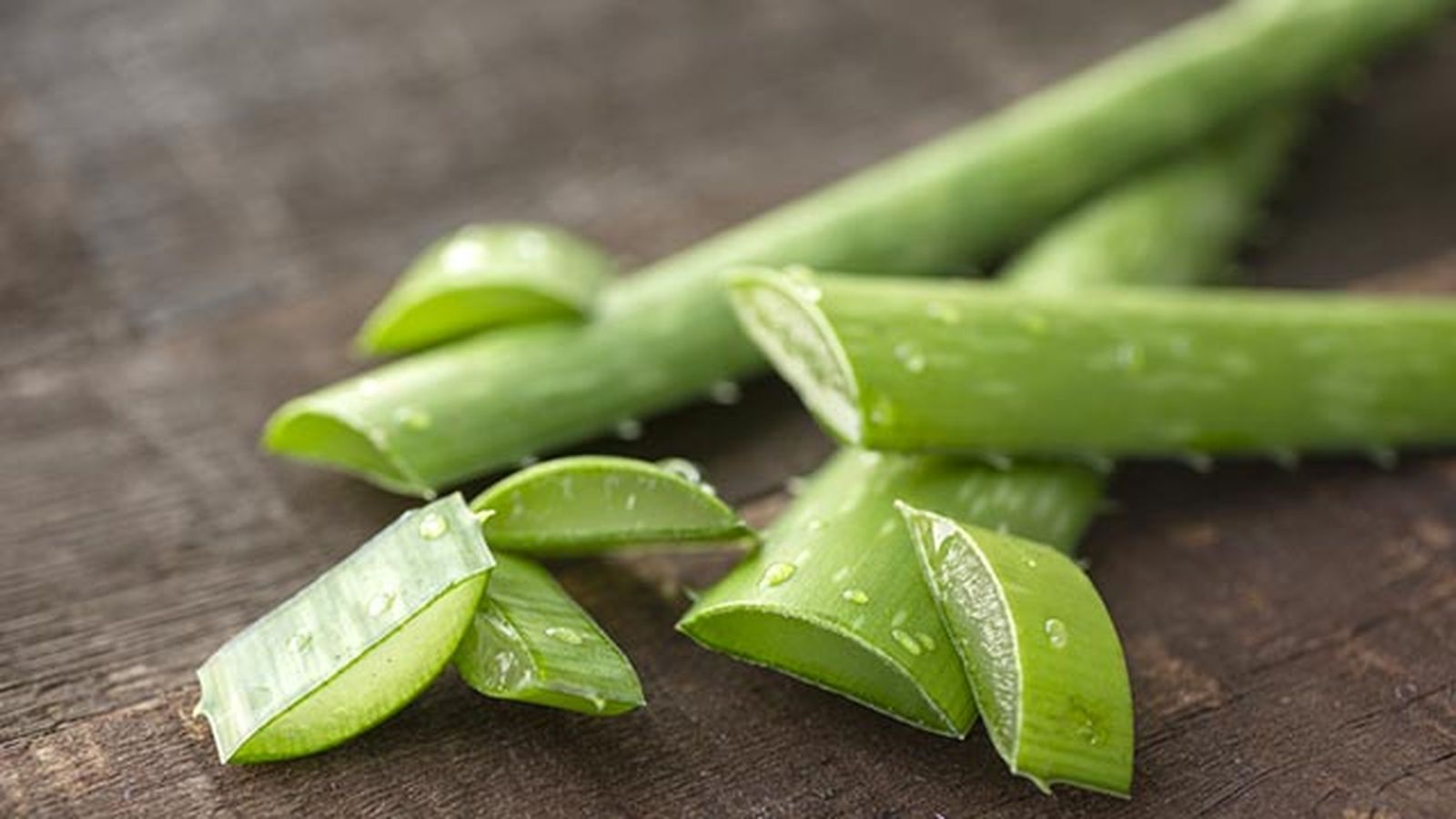 como hacer gel de aloe vera casero y como utilizarlo como hacer gel de aloe vera casero y como utilizarlo