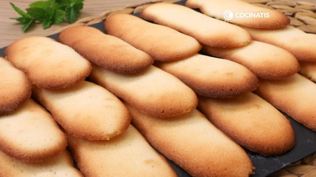 Lenguas de gato