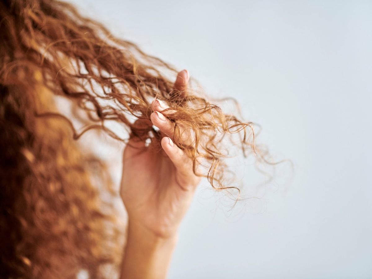 Los resultados mostraron que el secado natural causó daños en el complejo de la membrana celular.