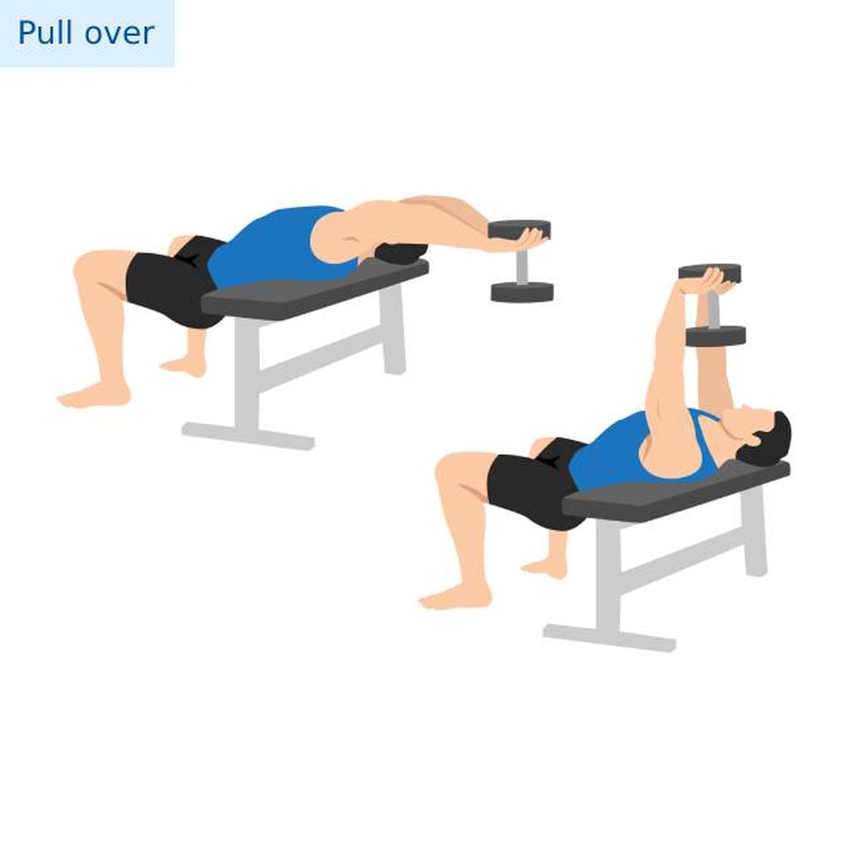 ejercicios para tonificar pecho con mancuerna pull over