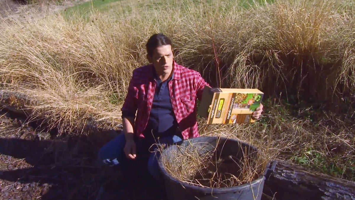 deco 0643 2 plantas tonos pajizos invierno pennisetum compost paso 2