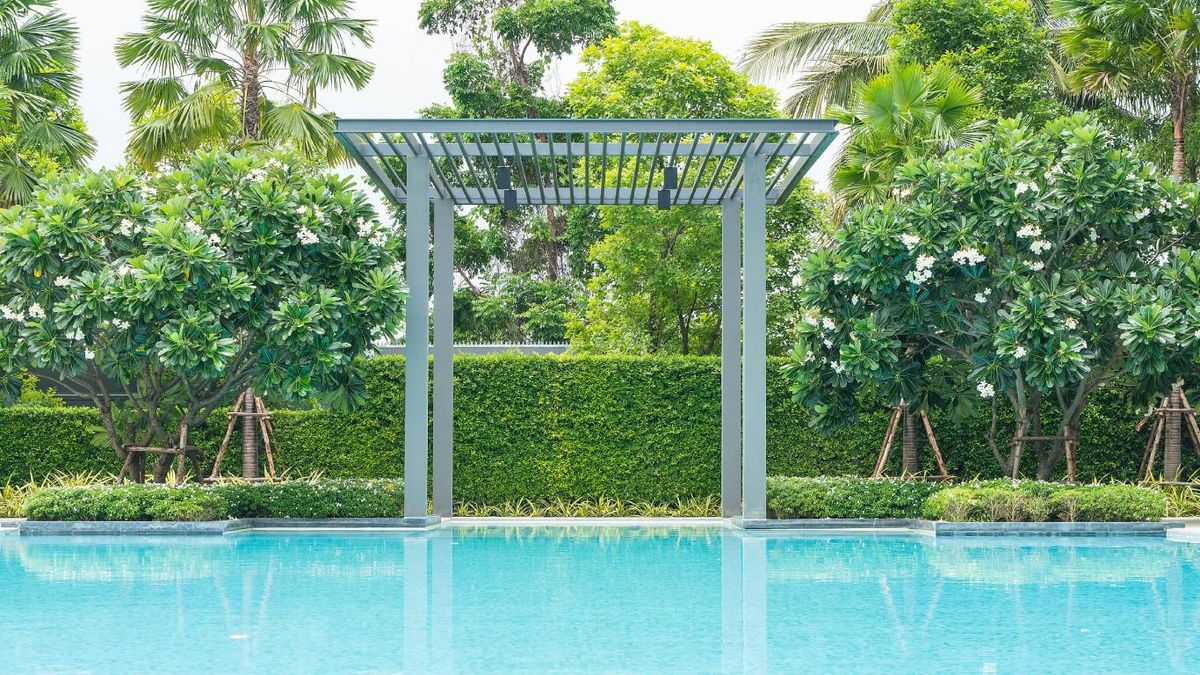 Diseño de jardines con piscina: Pérgola