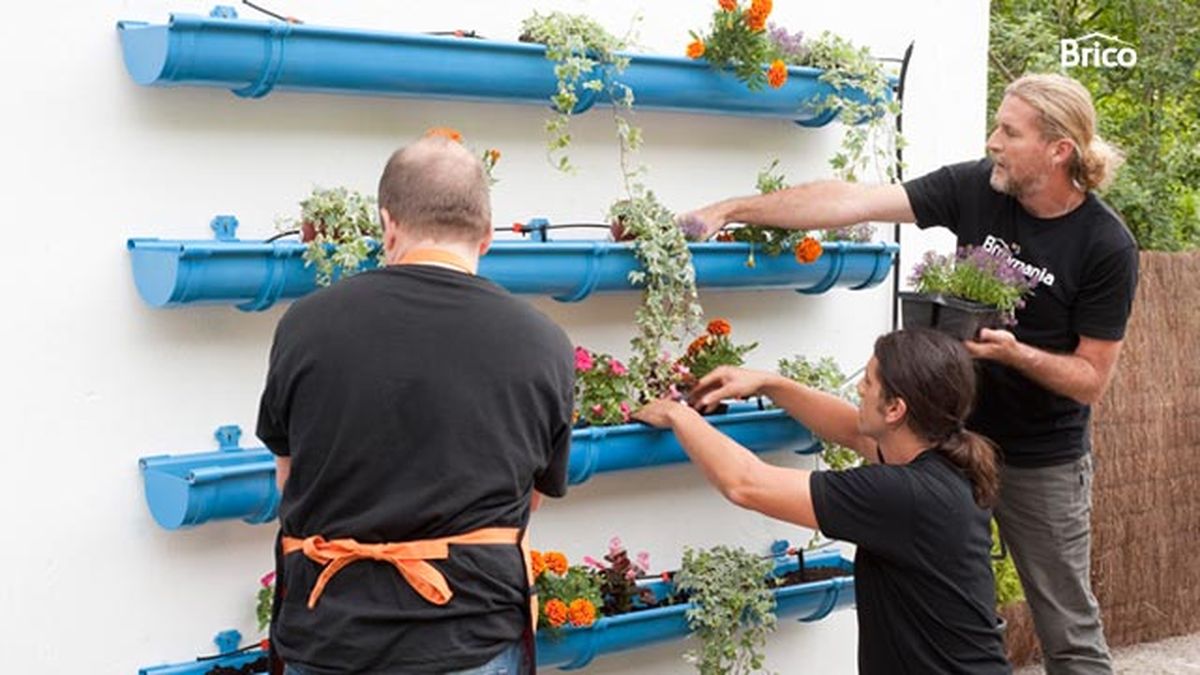 Brico 0657 canalon florido paso 26