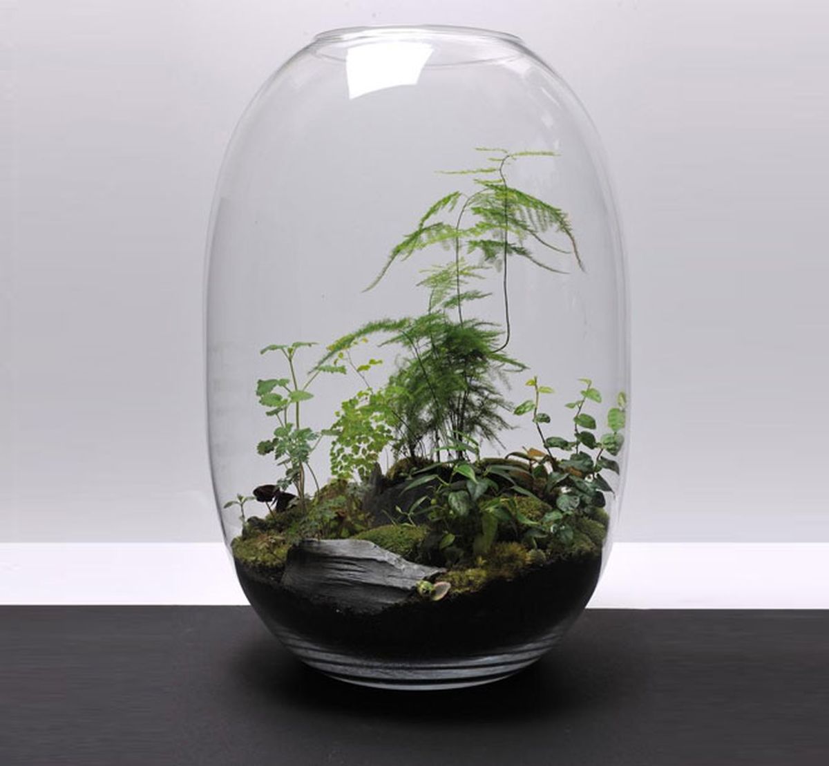 decoracion vegetal jardin interior 9